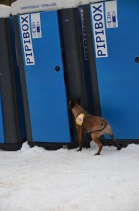 Rettungshunde mit Baustellenklo2