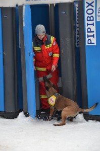 Rettungshunde mit Baustellenklo3